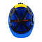 RFI-3 BIOT® RAPID синяя
